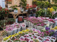 -双季花艺园艺市场(浦东店)