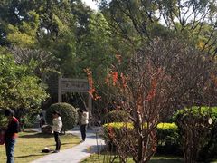 -晓港公园