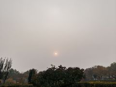 -廊坊文化艺术中心