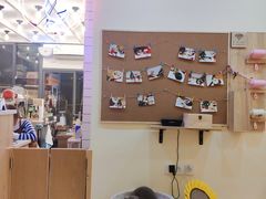 -滚猫咖啡·猫咖·猫友好撸猫(未来城店)