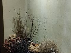 -韩国한국厨房