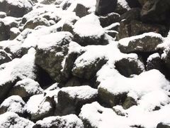 -九峰山