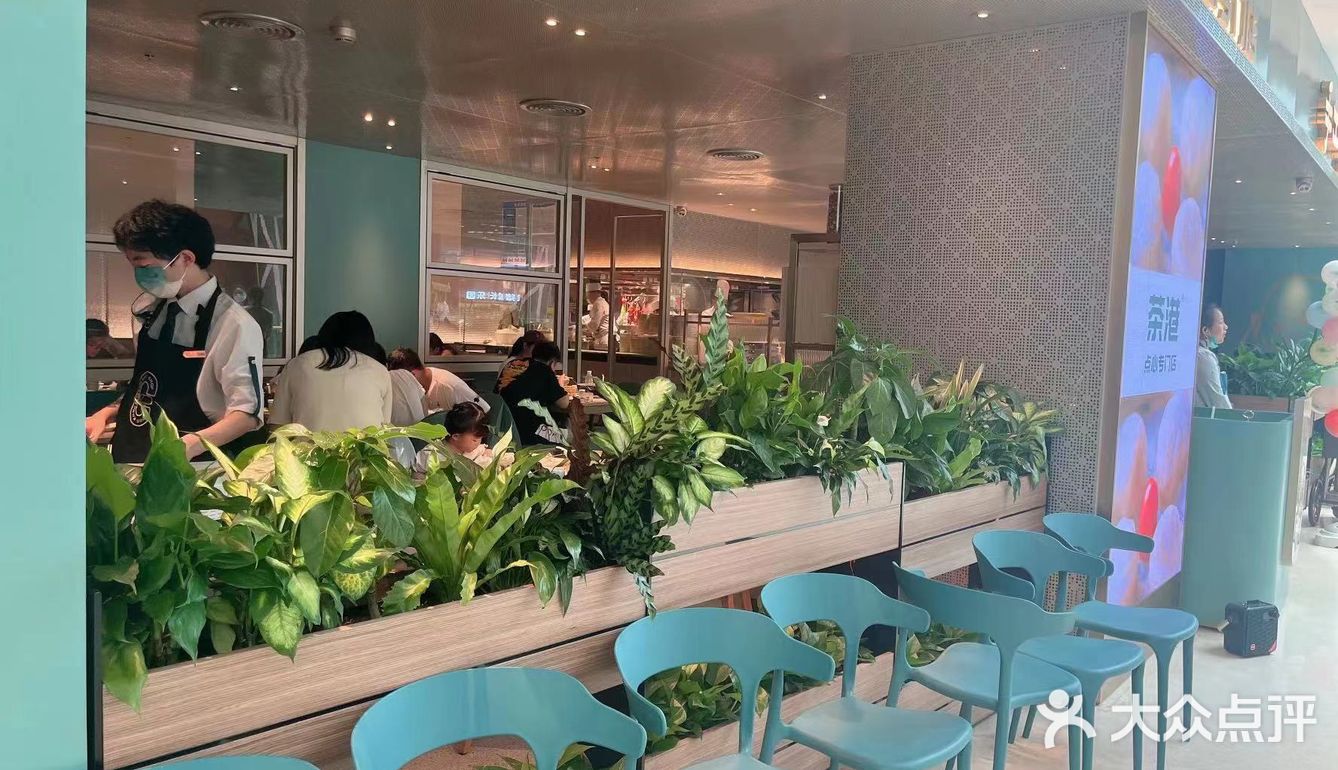一定要来茶港体验哈!!