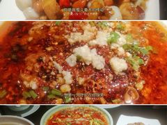 -陈麻婆豆腐总店