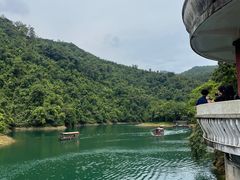 -鼎湖山风景区