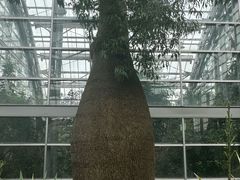 -南山植物园