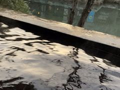 -深业半汤御泉庄温泉