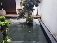 -觀芷隐轩