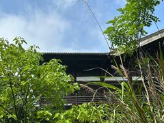 -大唐贡茶院