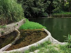 -成都市活水公园