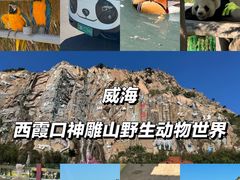 -西霞口神雕山野生动物世界