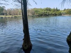 -深圳龙潭公园
