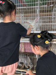 点击看大图 -小蜜蜂农场(凯德七宝购物广场店)