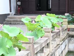 -上海醉白池公园