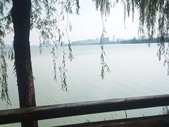-艾溪湖湿地公园