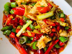 -巴国布衣·Sichuan Folk(紫荆店)
