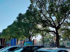 -野生动物园-停车场