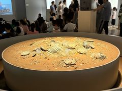 -中华艺术宫-咖啡吧