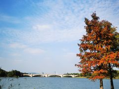 -长广溪湿地公园