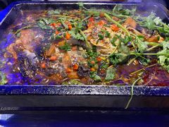 海鲈鱼-炉鱼(爱琴海购物公园店)