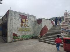 -广东惠东海龟国家级自然保护区