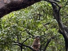 -黔灵山公园-南门售票处