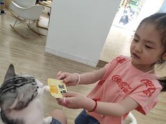 -李小姐の猫咖啡馆(五角场店)