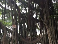 -胡里山炮台