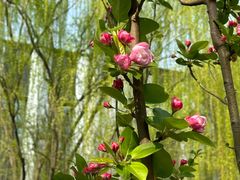 -元大都城垣遗址公园