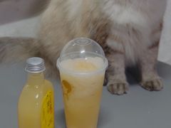 -喜茶(上海五角场万达店)