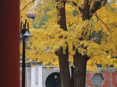 -北京艺术博物馆(万寿寺)