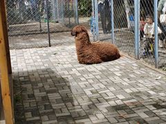 -长白岛森林公园