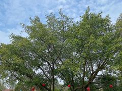 -盈香心动乐园