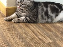 -南枝小馆(银鱼巷店)