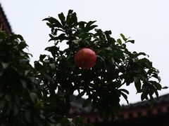 -西安华清御汤酒店