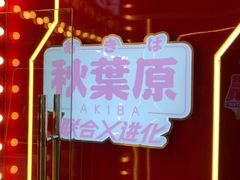 -天天玩X秋葉原日系动漫游戏中心