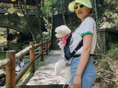 -藏龙百瀑风景区