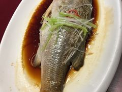 -皇冠明珠鱼翅楼(水上公园店)