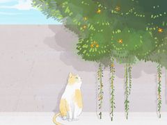 -楠火锅(龙阳广场店)