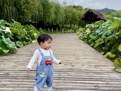 -锦屏公园