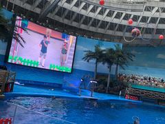 -海合安成都极地海洋公园