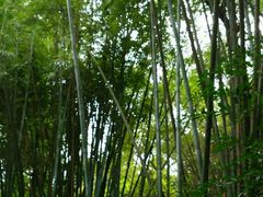 -白云山风景名胜区