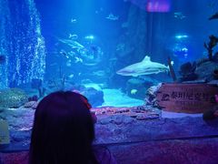 -沈阳海洋探索中心