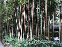 -成都杜甫草堂博物馆