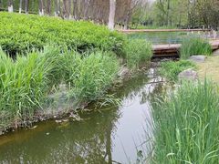 -西安浐灞国家湿地公园