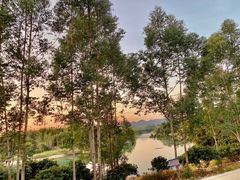 -广州市流溪河国家森林公园