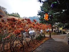 -云峰山自然风景区