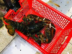 波士顿-蚝专家(北滘店)