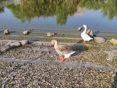 -同济大学(嘉定校区)