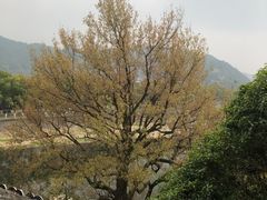 -蒋氏故居